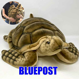 HANSA 5072 E~K-Sea Tortoise- nT̃Aȓʂ