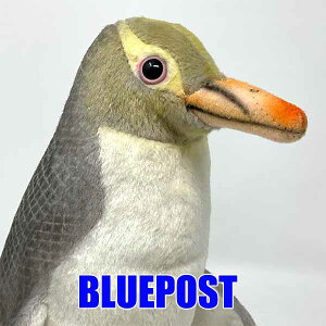 _݌Ɍ̃Z[^mnTnm7089nLyM-yellow eyed penguin-hansaAȓʂ