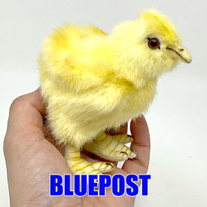 mnTnmBH5378nqRhansa  Ђ悱HANSÃAȓʂ