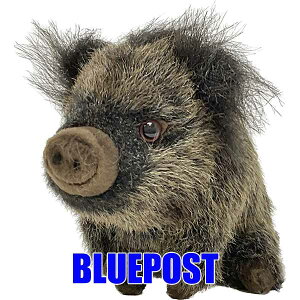 CmVV 22 BH6282 wild boar nT ʂ ̂  hansAȓʂ