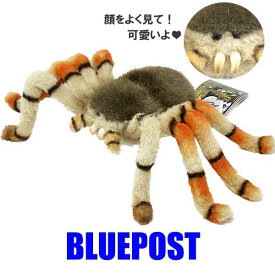 ハエトリグモ 29 BH6556 ハンサ jumping spider ハンサ ぬいぐるみ【セール_23】