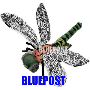 g{ 33 BH6566 nTdragonfly nT A ʂ݁_݌Ɍ̃Z[^