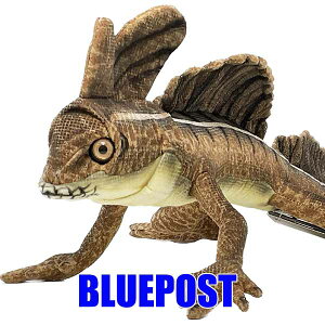 uEoVXN 69 BH8037 nT basilisknT ʂ