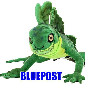 O[oVXN 69 BH8038 nT basilisk nT ʂ