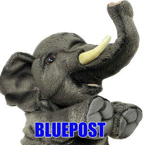 yz]E 26 BH8462 nT nhpybg hansa ELEPHANThansa ʂ݁EECOւ͔s