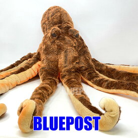 タコ 70 BH5060 octopus ハンサ hansa ぬいぐるみ 海洋生物 海の生き物 ぬいぐるみ リアル