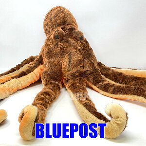^R 70 BH5060 octopus nT hansa ʂ Cm C̐ ʂ A