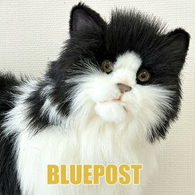 【残り僅か】【送料無料】［ハンサ］［4221］シロクロネコ-black and white cat-hansa　猫 ねこ ぬいぐるみ※沖縄への配送の場合は2200円加算となります