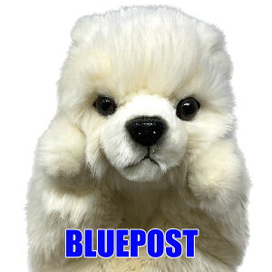 yc1_znTypybgz[7158]zbLNO}pybg l` nhpybg@hansa ʂ HANSA Aȓ̂ʂ݁@VN}@낭܁EECOւ͔s