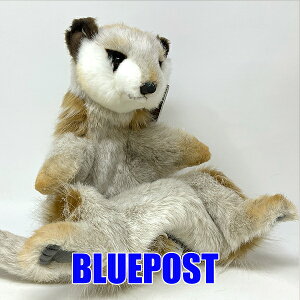 �~�[�A�L���b�g 4721 �n���T �p�y�b�g-meerkat puppet -�i�����Ȃ莟��I���j�O�b�Y �n���h�p�y�b�g �ʂ�����݁z������E�����E�C�O�ւ͔����s�y�Z�[��_21�z�y���������}���\���E�X�[�p�[�Z