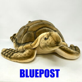 【送料無料】［ハンサ］[5072]ウミガメ-Sea Tortoise-※配送先が沖縄の場合は2200円加算させていただきます動物 ぬいぐるみ リアル　カメ 亀　かめ