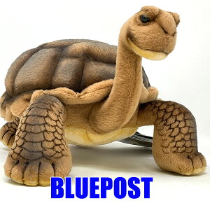 yI[^Z[z]EK 32 BH6461 nT GARAPAGOS GIANT TORTOISE hansa HANSA Aȓ̂ʂ
