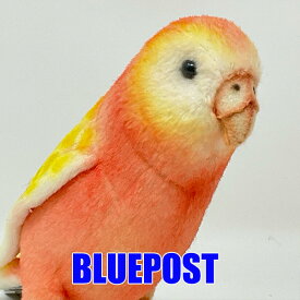 アキクサインコ BH7637 ハンサ-bourkas parrot-hansa 動物のリアルなぬいぐるみ【セール_19】