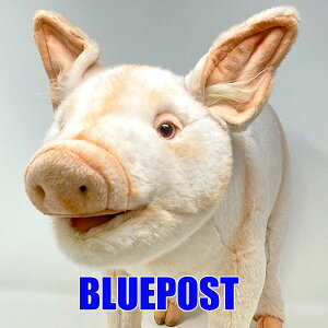 u^ 63 6347 nT Ԃ PIG ObY ʂ hansa A  ʂ