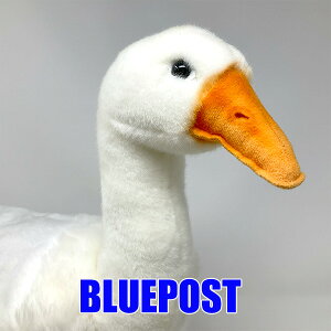 yZ[zmnTnm3709nVK`E44hansa white goose ͂ O[XHANSA A ʂ K`E AEECO