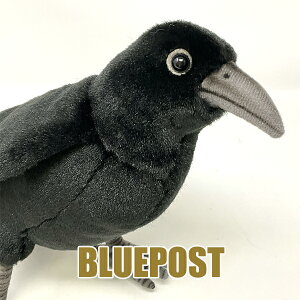 HANSA BH6266 JX 31 CROW nT̂ʂ