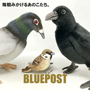 yzyZbg̔zmnTn̕iZbgyZbgezE7019XYE6299ngE6266JXEECOւ͔s