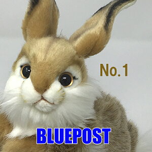 うさぎ ぬいぐるみ リアルの人気商品 通販 価格比較 価格 Com