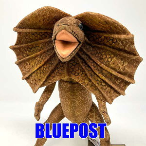 yzG}LgJQ BH6022 nT-frilled lizard-Aȓʂ hansaEECOւ͔s