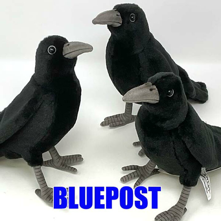 楽天市場 期間限定価格 ハンサ 3羽セット 6266 カラスhansa Crow Crow ぬいぐるみ 鴉 からす ｂｌｕｅ ｐｏｓｔ