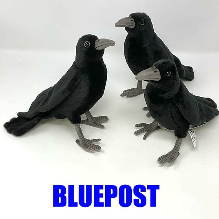 楽天市場 期間限定価格 ハンサ 3羽セット 6266 カラスhansa Crow Crow ぬいぐるみ 鴉 からす ｂｌｕｅ ｐｏｓｔ