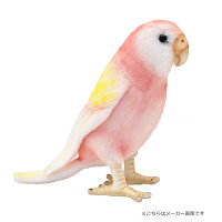 楽天市場 ハンサ 7637 アキクサインコ14 Bourkas Parrot Bh7637 ｂｌｕｅ ｐｏｓｔ