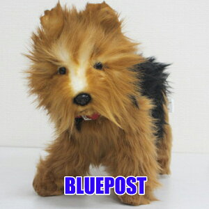 y摜̎q͂zmnTnm5900nmNo.1n[NV[eAi^OOĂ܂j-YORKSHIRE@TERRIER-Jbĝ悤Ȗт̒HANSÃAȓʂ݂łB