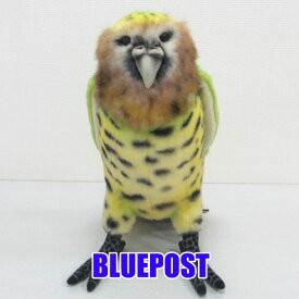 【残り僅か】［ハンサ］［7845］カカポ 33-bird kakapo-【在庫一掃セール】【在庫限り】