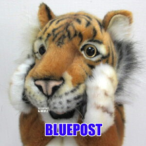 nTypybgzgm4039nObY nhpybg ʂhansa HANSA Aȓ̂ʂ݁EECOւ͔s