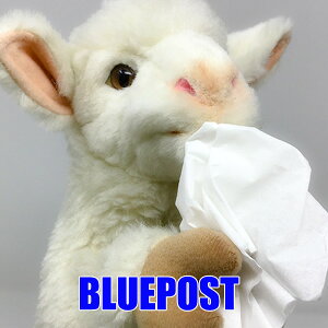 qcW 7340 pybg nT ObY nhpybg ʂ hansa Aȓ̂ʂ