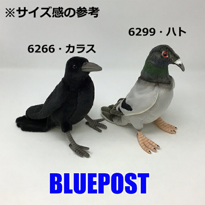 楽天市場 ハンサ 6266 カラスhansa Crow Crow ぬいぐるみ 鴉 からす blue post 楽天市場 ハンサ 6266 カラスhansa Crow Crow ぬいぐるみ 鴉 からす blue post