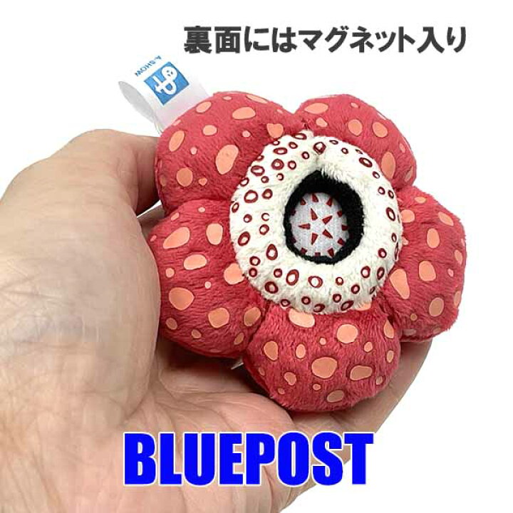 楽天市場】食虫植物雑貨 ラフレシア マグネット[植物コレクション]食虫 