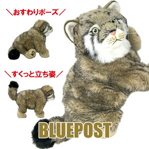 |[YI}klR ʂ Rɓʂ -ANIPAL-Ajp ܂ʂ˂yZ[z