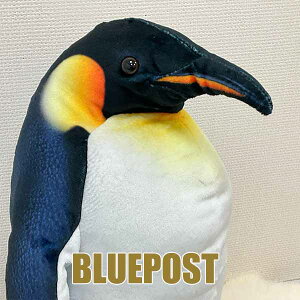 _݌Ɍ̃Z[^A[eBXg REeCyM 20  ʂ emperor penguin