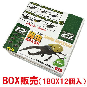 yc͂zAjA Aj}Ahx`[ Y_yz[X̍]()y1BOX̔(12)zyNX}XZ[z