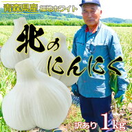 【先行予約 福地ホワイト】にんにく 国産 2026年産 青森県産 青森にんにく ニンニク 福地ホワイト 訳あり…