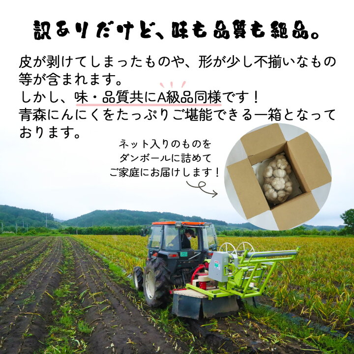 楽天市場】【福地ホワイト】にんにく 国産 2024年産 青森県産 青森 