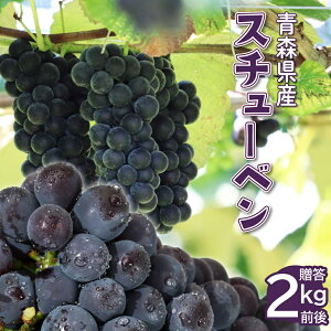 y24ԌN[|zzzyGizԂǂ uhE 2025NY ʌ XY n X`[x 2kg Gi  Mtg v[g 