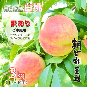 ys\ 󂠂z momo    ƒp 2026N XY 3L ǂ  Yn 󂠂 W[X X[W[p KiOi  Hp hV̓