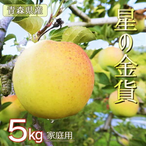 yGg[5{24ԌN[|zzzy̋݁z S  ь ringo ʌ 2025NY XY X ƒp 󂠂 ̋ 5kg (16ʁ`25ʓ) 