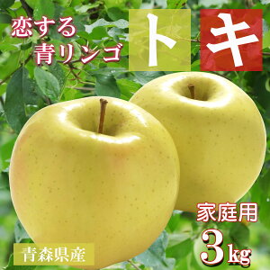 【エントリーで4倍★24時間限定クーポン配布】【 訳あり トキ 】りんご リンゴ 送料無料 林檎 ringo 数量限定 2025年産 青森県産りんご 青森りんご ご家庭用 訳あり トキ とき 3kg (約9玉〜15玉入