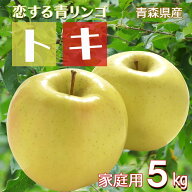 【24時間限定クーポン配布中】【先行予約 訳あり とき 】りんご リンゴ 送料無料 林檎 ringo 数量限定 20…