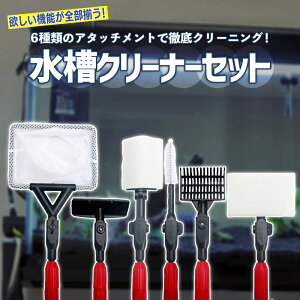 XN[p[ N[i[Lbg N[jOuV uV `[uuV N[i[   g~O RP p|pi S~lbg KX |