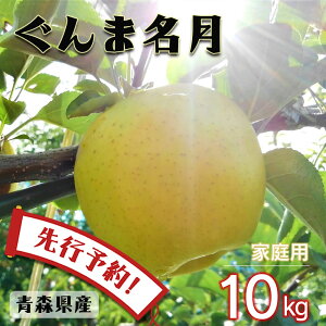 yGg[5{24ԌN[|zzzys\z  S  ь ringo ʌ 2025NY XY X ƒp 󂠂 ܖ 10kg (32ʁ`50ʓ