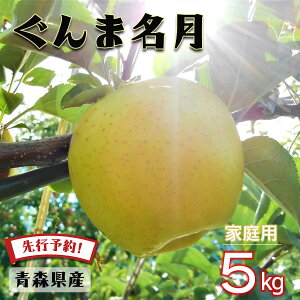 y24ԌN[|zzzys\ ƒp ܖz  S  ь ringo ʌ 2025NY XY X ƒp 󂠂 ܖ 5kg (16ʁ`25