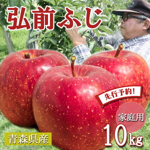 ys\z  S  ь ringo ʌ 2025NY XY ƒp 󂠂 OOӂ 10kg (32ʁ`50ʓ) Yn H_  ӂ   hV