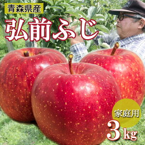 yGg[5{24ԌN[|zzzyƒp OOӂz  S  ь ringo ʌ 2025NY XY ƒp 󂠂 OOӂ 3kg (9ʁ`15ʓ) Y