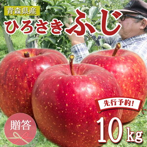 yGg[5{24ԌN[|zzzys\z  S  ь ringo ʌ 2025NY XY Gi p OOӂ 10kg (32ʁ`50ʓ) ̂ Yn