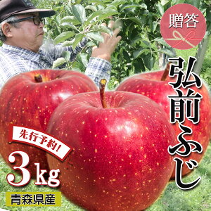 ys\ p OOӂz  S  ь ringo ʌ 2025NY XY Gi p OOӂ 3kg (9ʁ`15ʓ) ̂ Yn H_  ӂ 