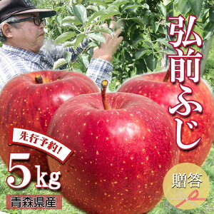 yGg[5{24ԌN[|zzzys\ pz  S  ь ringo ʌ 2025NY XY Gi p OOӂ 5kg (16ʁ`25ʓ) ̂ 